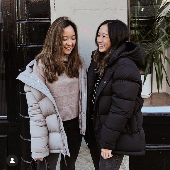 Aritzia Tna The Super Puff Goosedown 